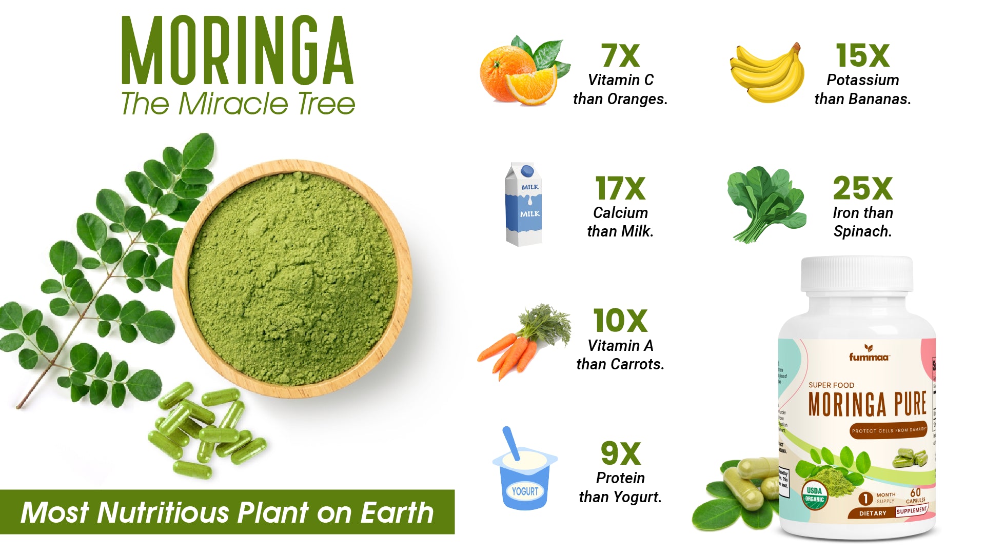 Moringa Oleifera