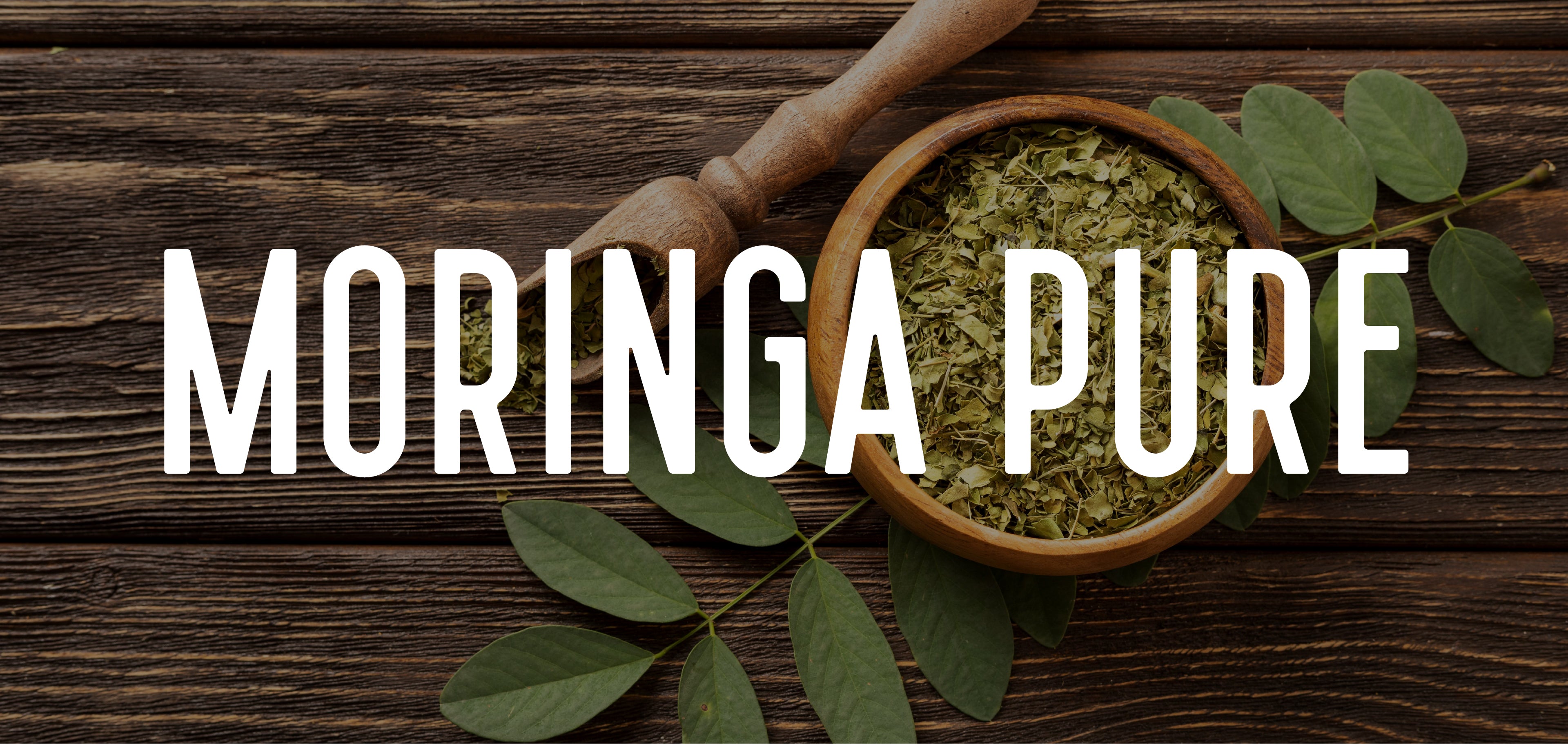 Moringa Powder Benefits