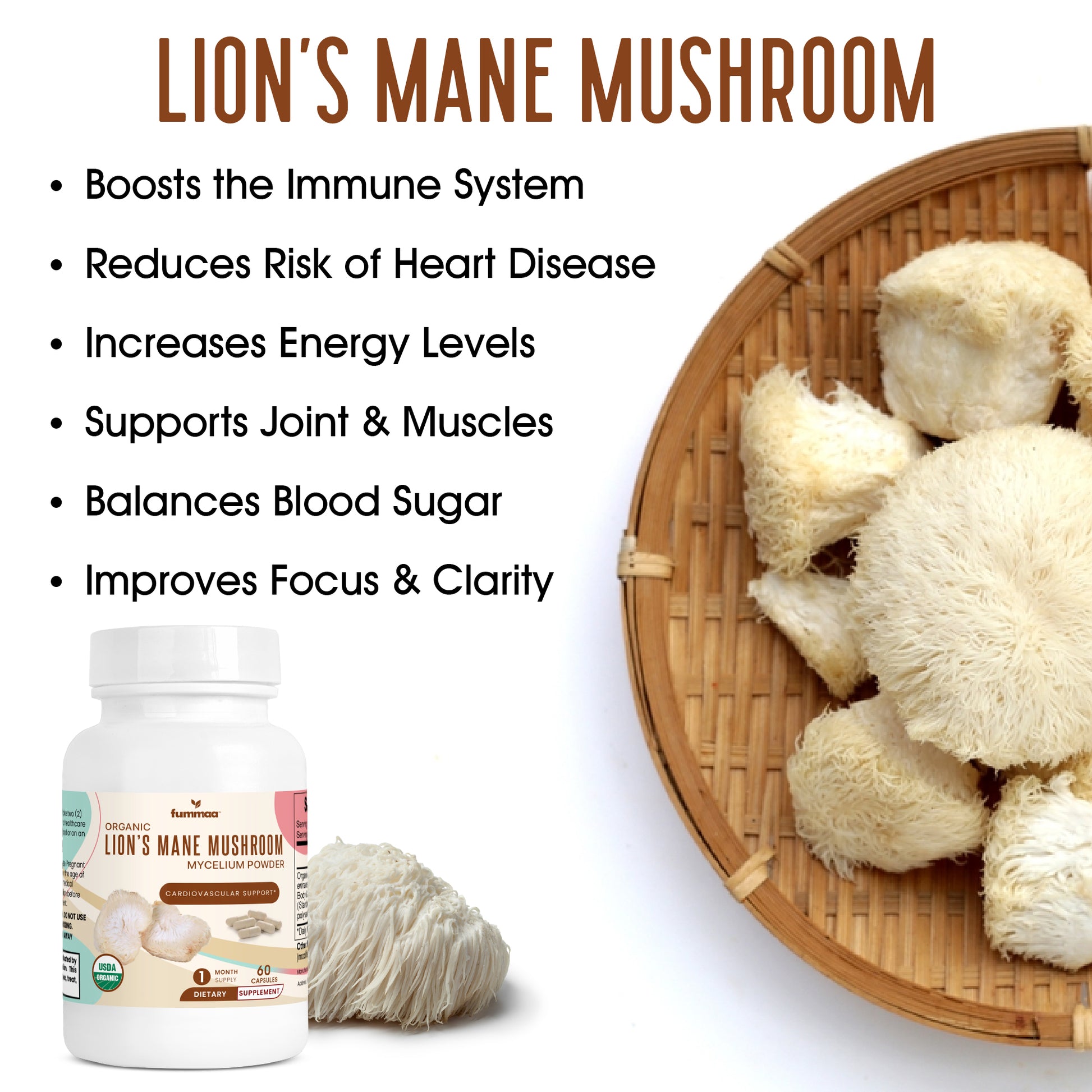 organic lion's mane mushroom extract | Shop now at the best price in USA | Fummaa™