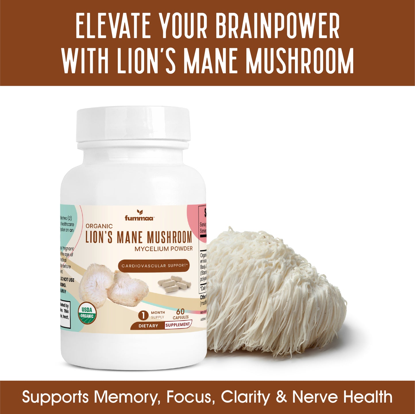 Elevate your brain power with organic lions mane mushroom capsules