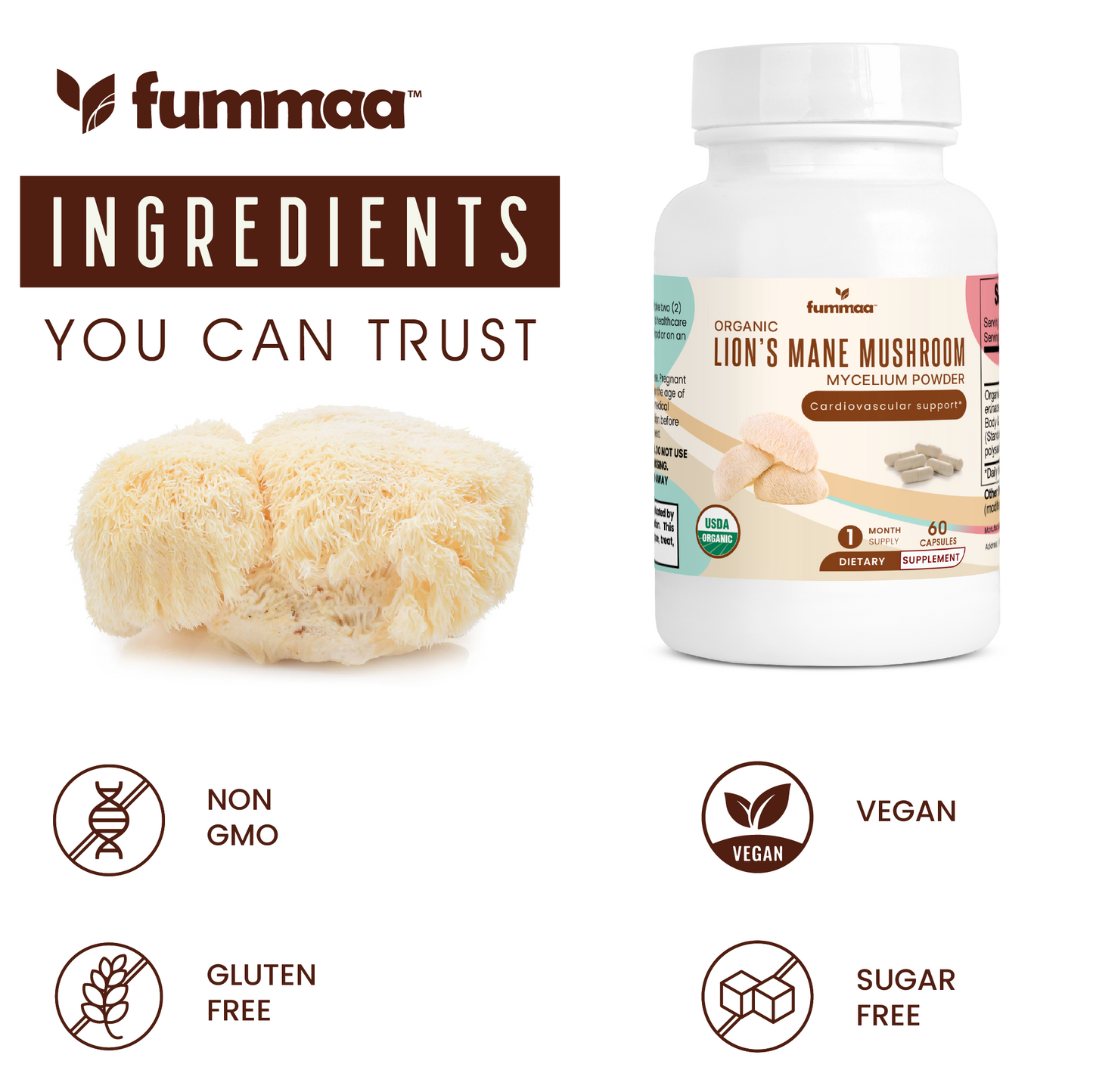 Whats inside Organic Lions Mane Mushroom Mycellium Powder | Key Ingredients in Lions Mane