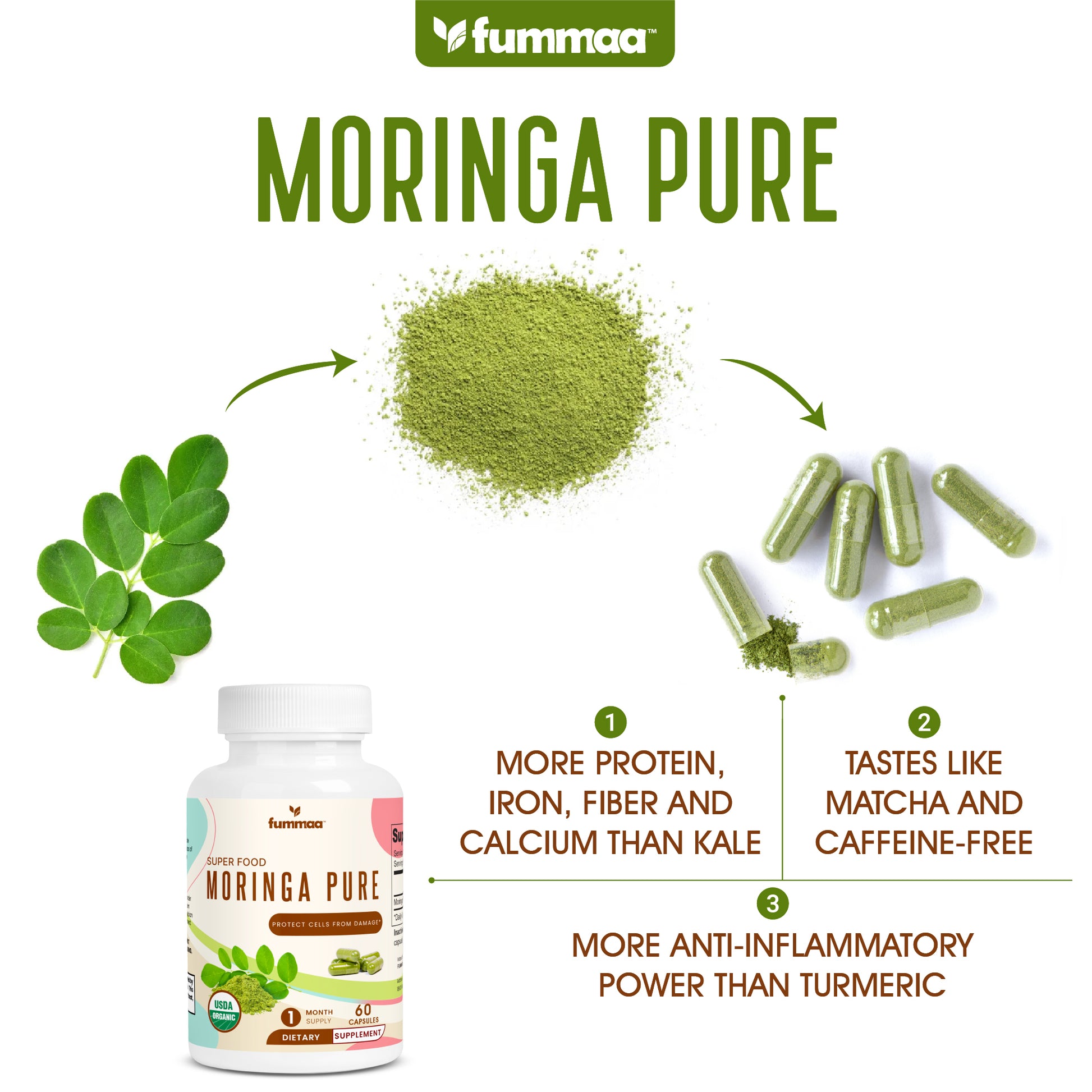 Moringa powder and capsules information
