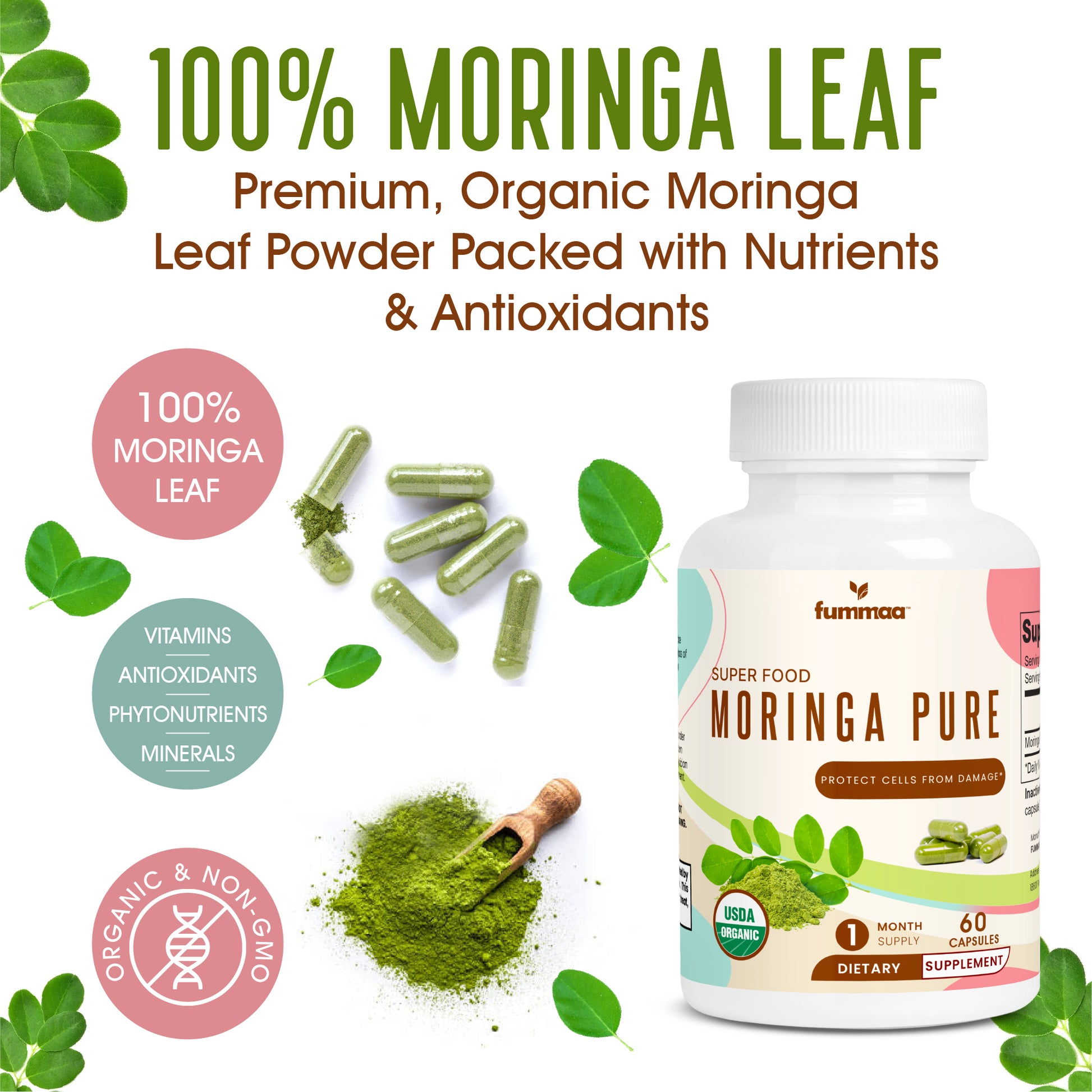 100% organic moringa leaf powder for health benefits of men and women