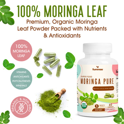 100% organic moringa leaf powder for health benefits of men and women