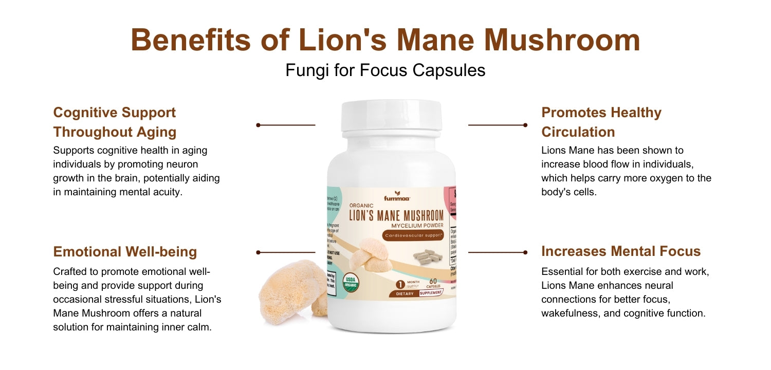 Benefits of Organic Lion's Mane Mushroom Capsules