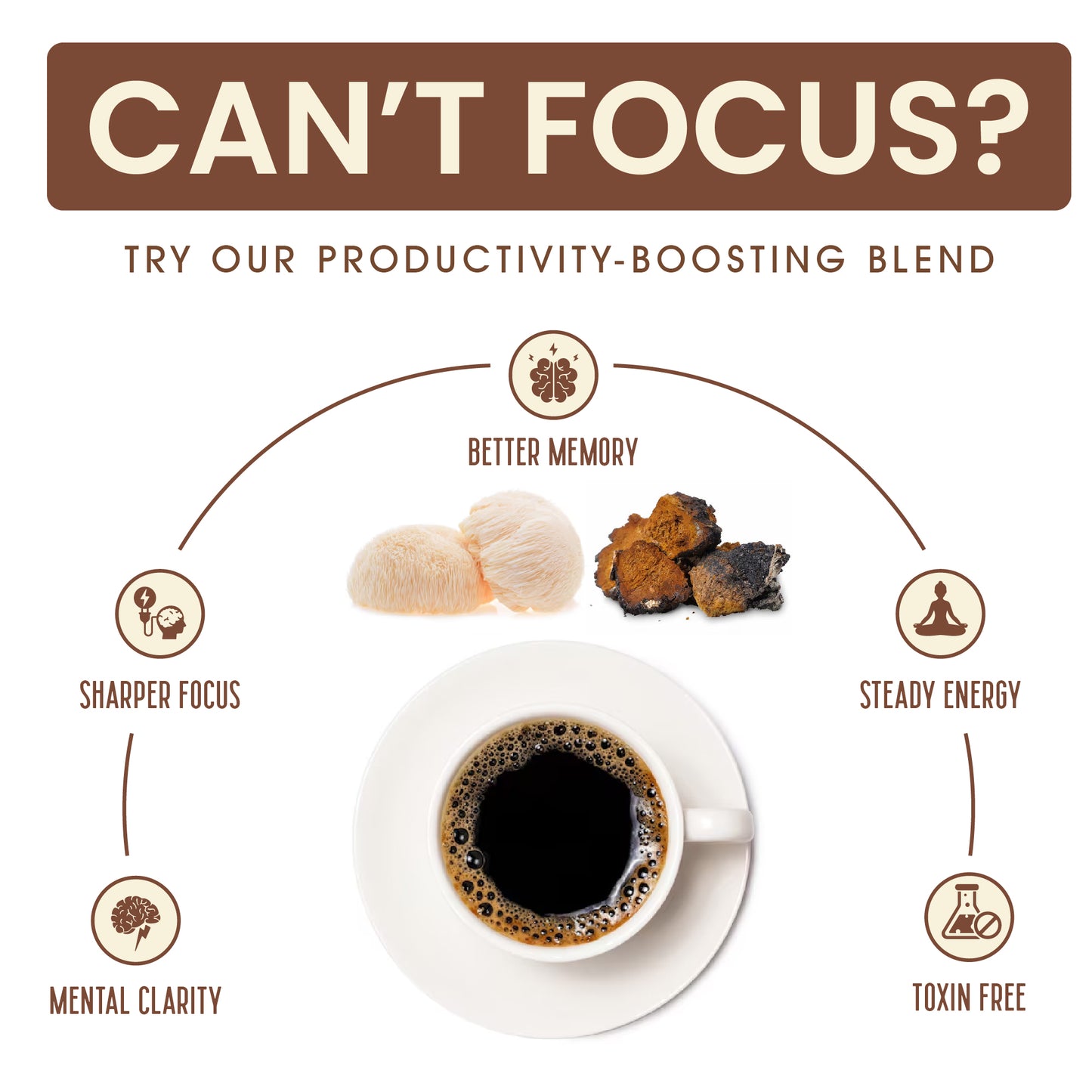 Mushroom Coffee Fusion - Lion’s Mane & Chaga 4oz