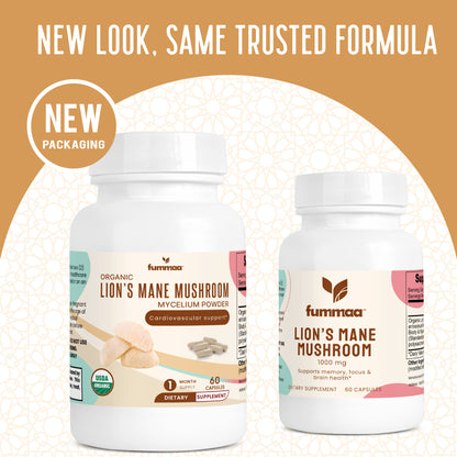 best organic lion's mane supplement in uk