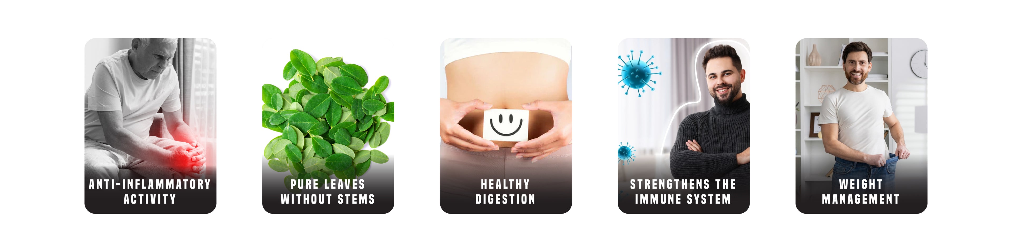 Orgnaic moringa capsules nutritional health benefits for men and women