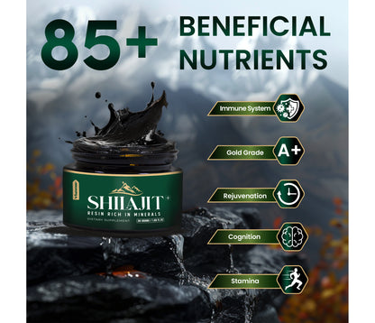 Shilajit +