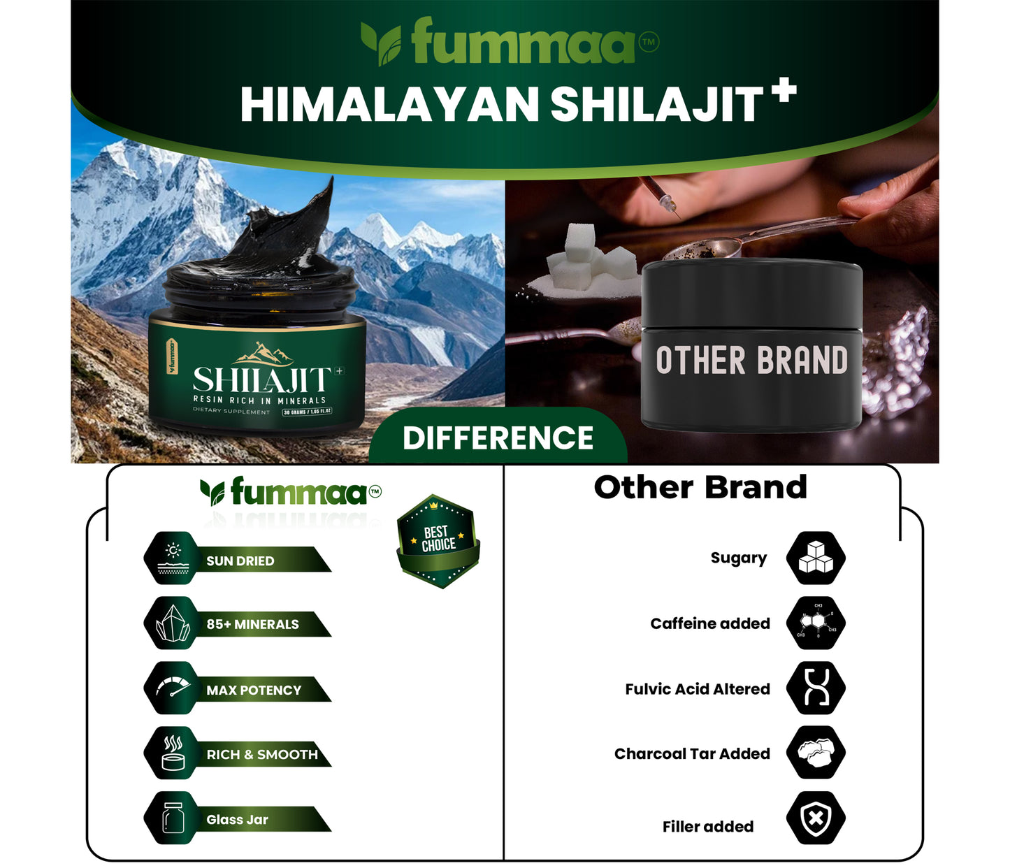 Shilajit +