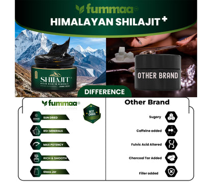 Shilajit +
