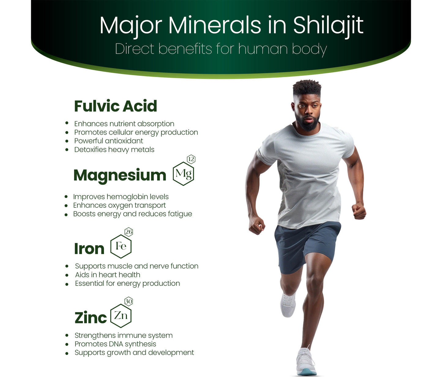 Shilajit +
