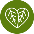 100% vegan best moringa pure